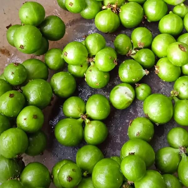Green Brazilian Grape Seeds