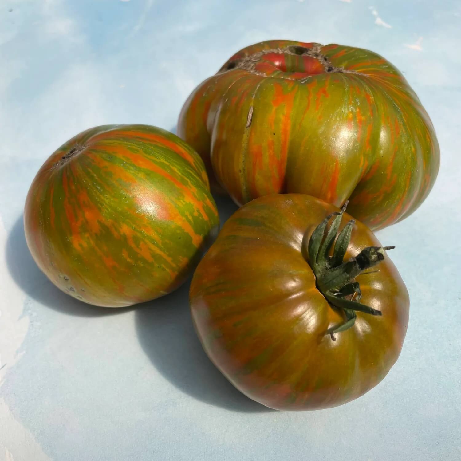 Green Brown Tomato Seeds