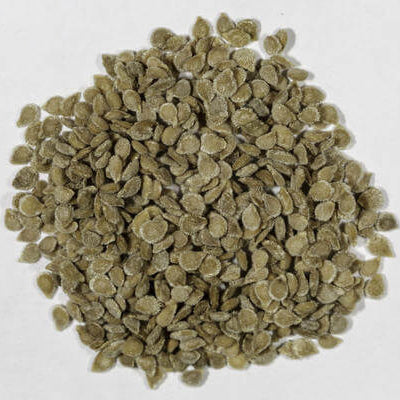 Green Brown Tomato Seeds