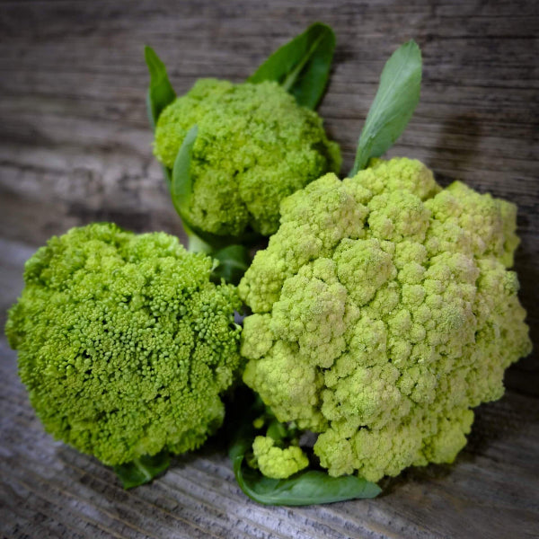 Green Cauliflower Seeds