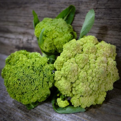 Green Cauliflower Seeds