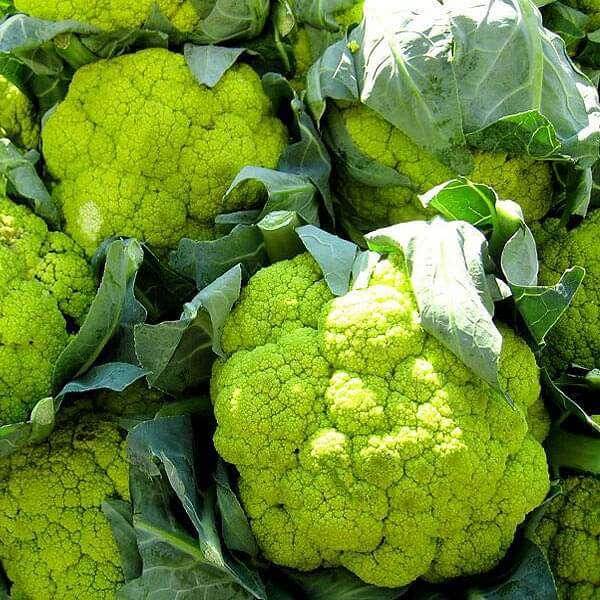 Green Cauliflower Seeds