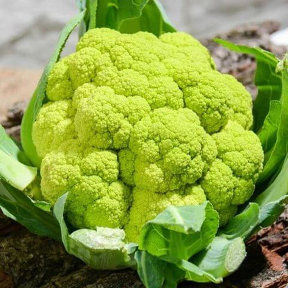 Green Cauliflower Seeds