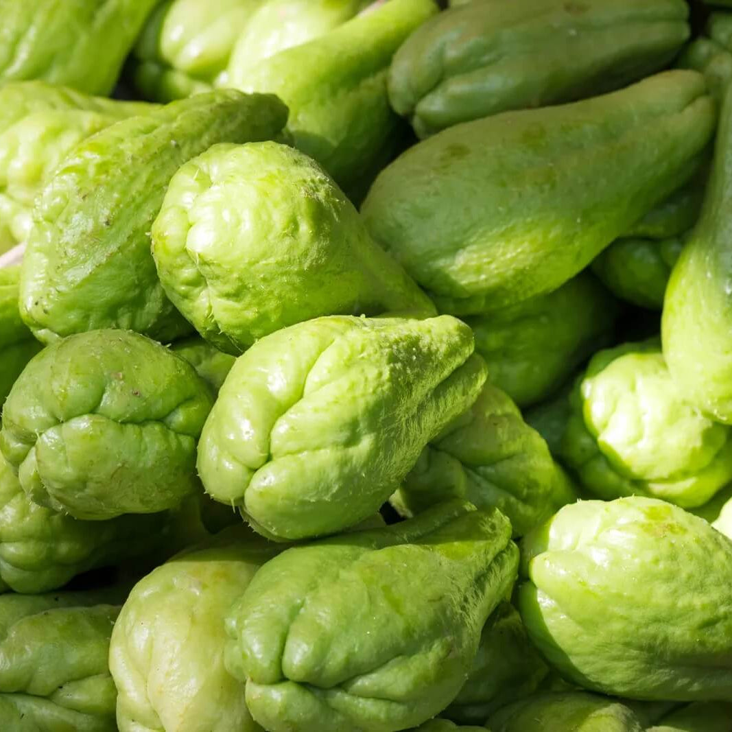 Green Chayote Seeds