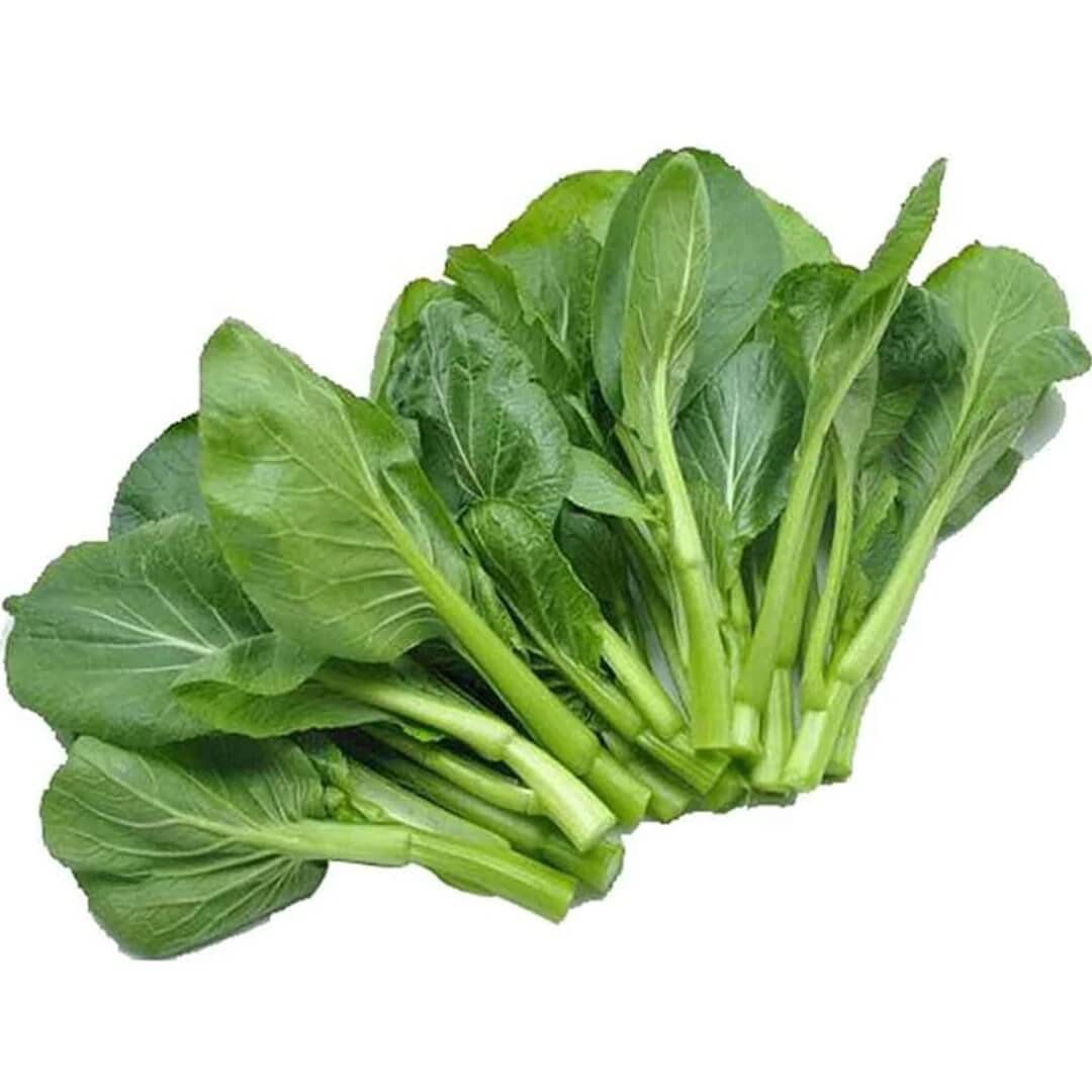 Green Choy Sum Seeds