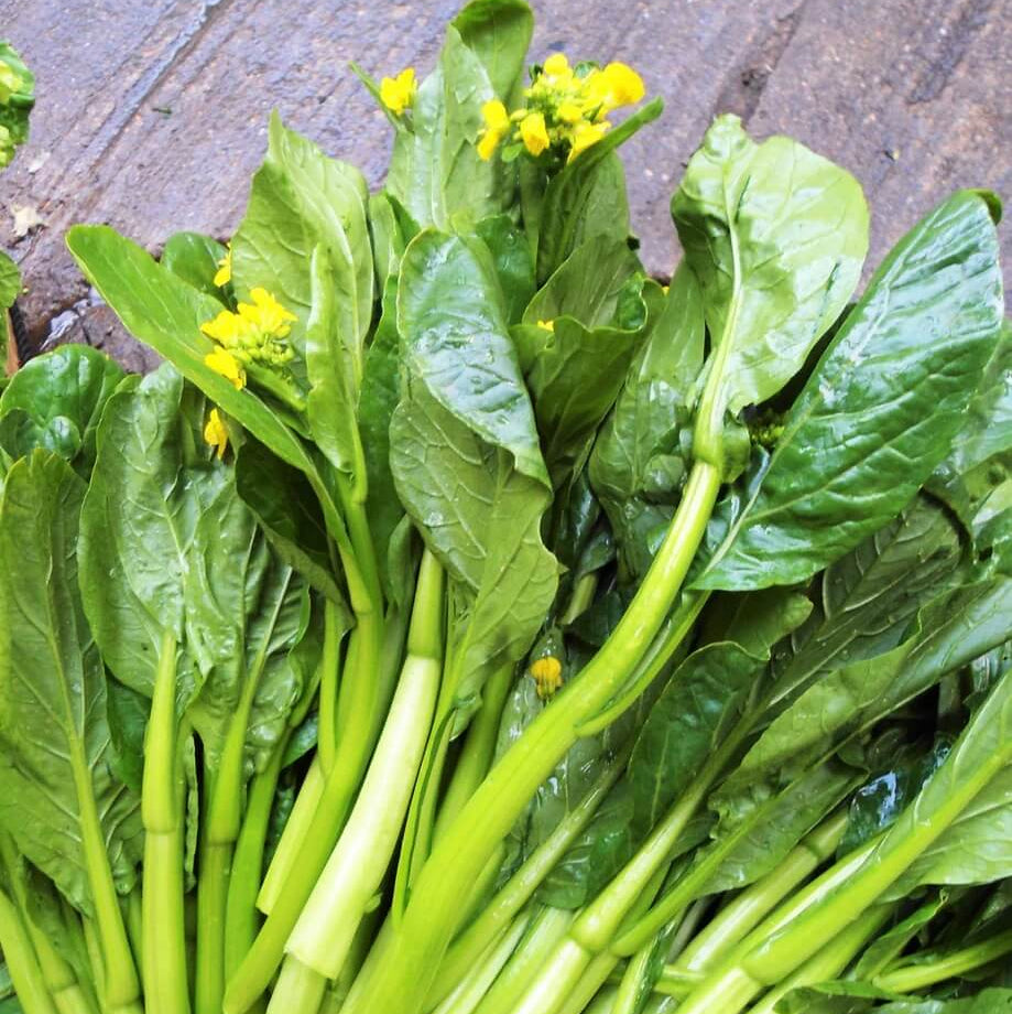 Green Choy Sum Seeds