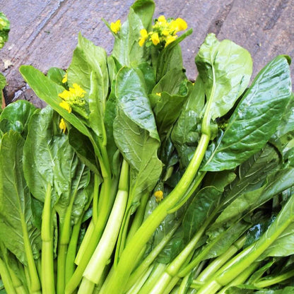Green Choy Sum Seeds
