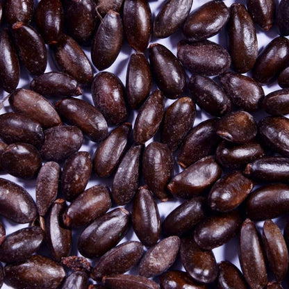 Green Custard Apple Seeds 