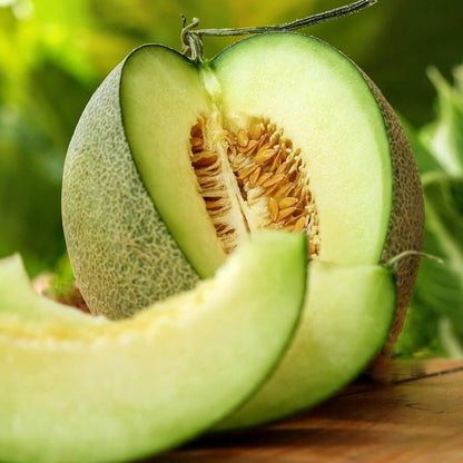 Green Flesh Cantaloupe Seeds 