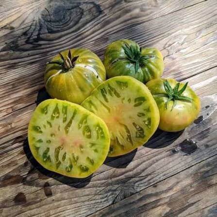 Green Giant Tomato Seeds