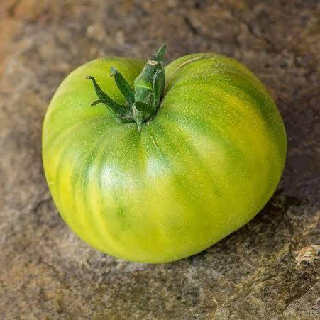 Green Giant Tomato Seeds