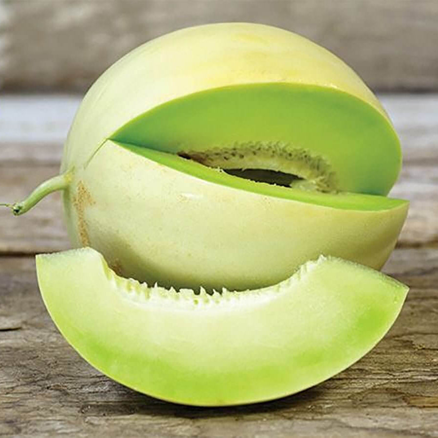 Green Honeydew Melon Seeds