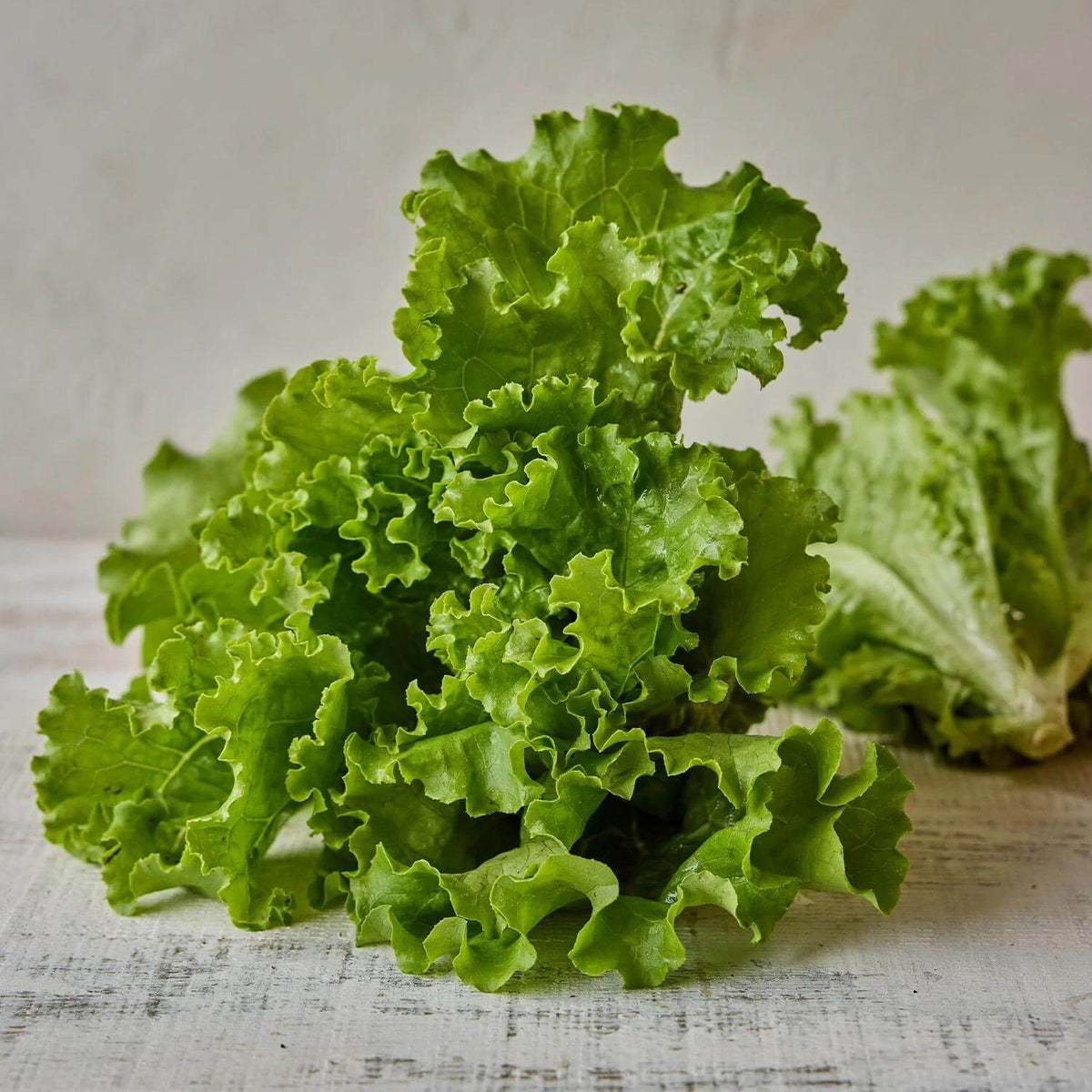 Green Ice Lettuce Seeds