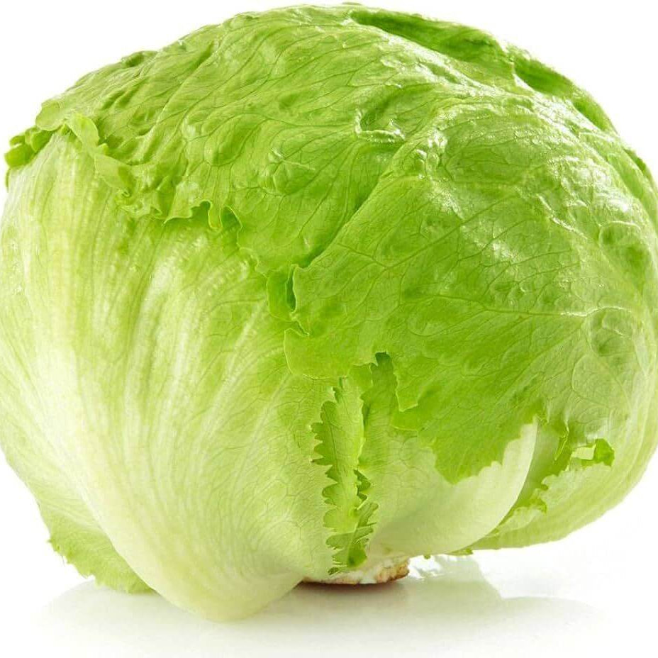 Green Ice Lettuce Seeds