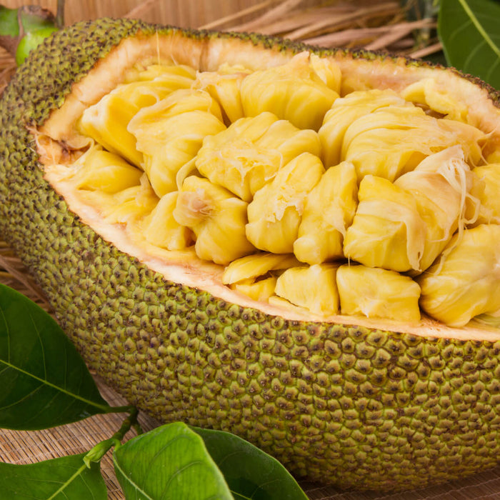 Green Jackfruit Seeds 
