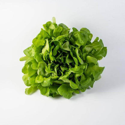 Green Oakleaf Lettuce Seeds