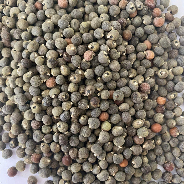 Green Okra Seeds
