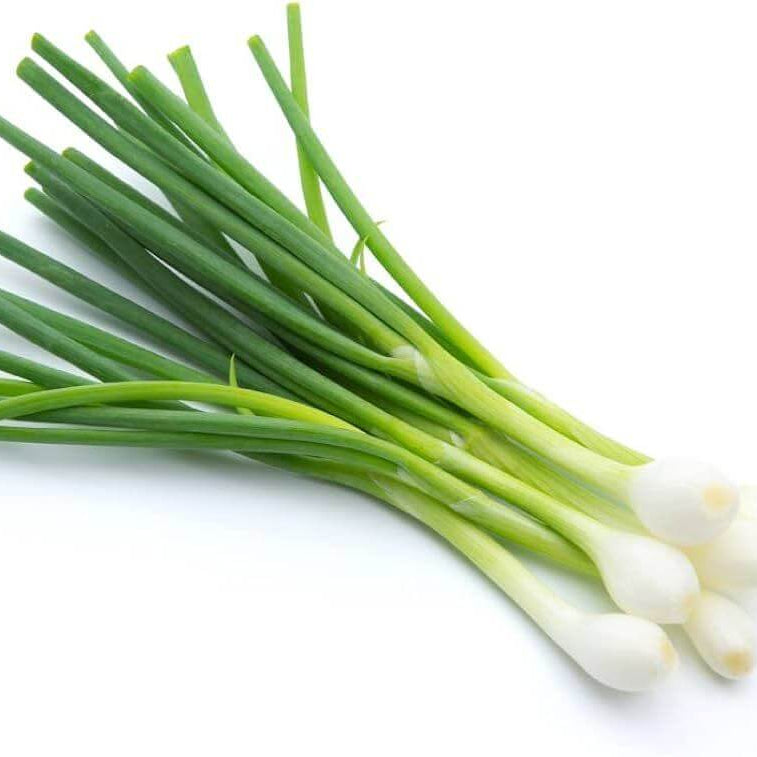 Green Onion Seeds