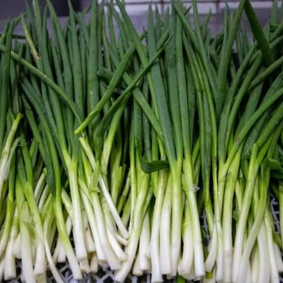 Green Onion Seeds