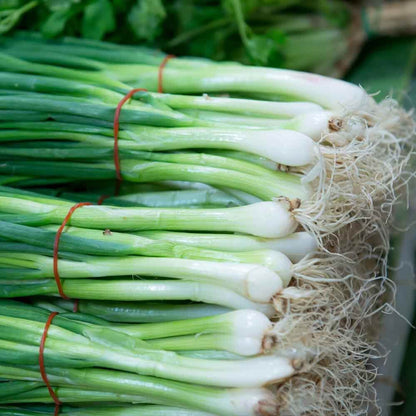 Green Onion Seeds