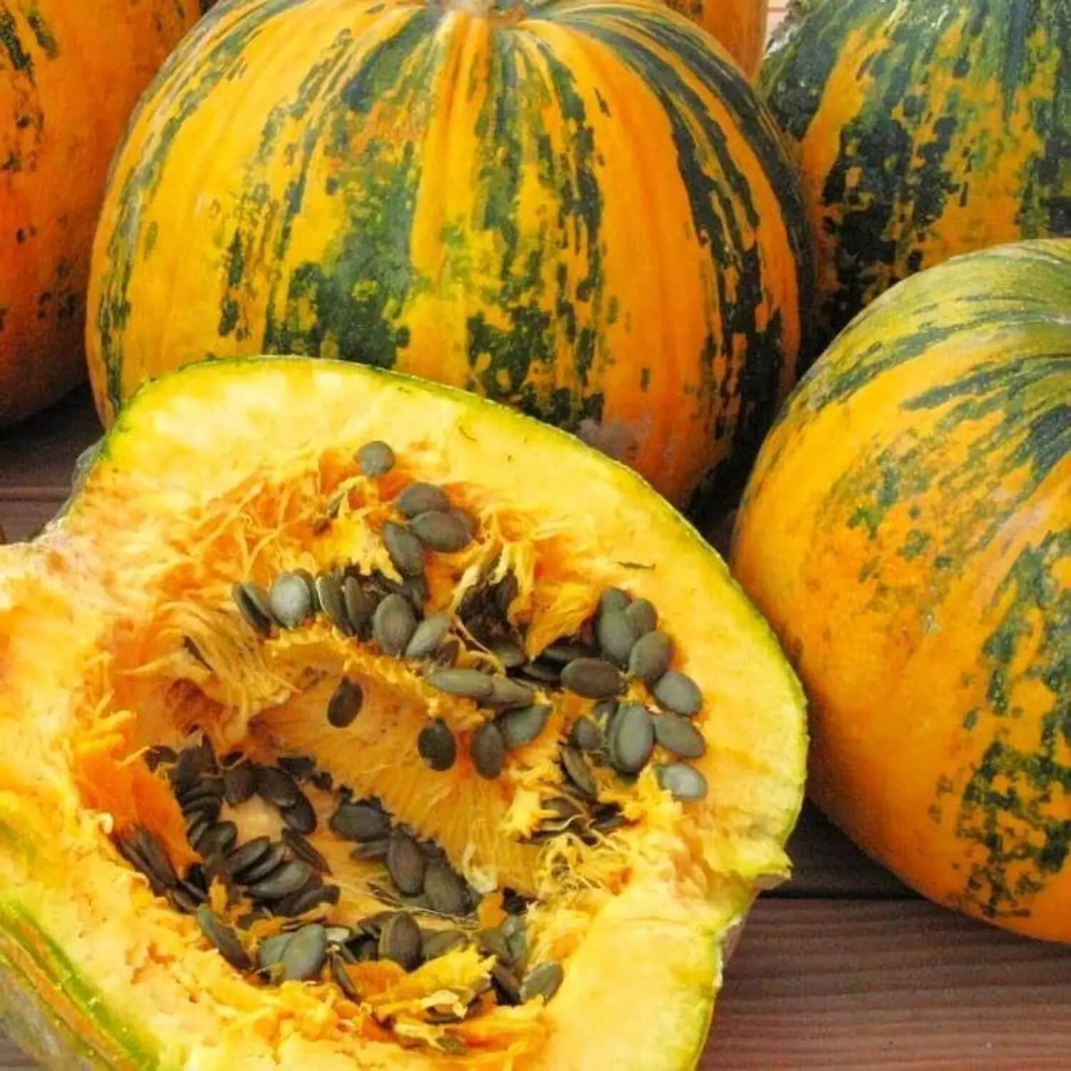 Green Orange Lady Godiva Pumpkin Seeds