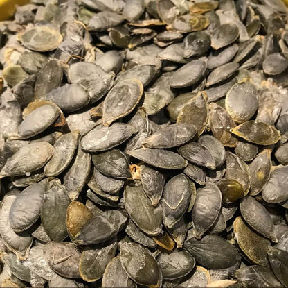 Green Orange Lady Godiva Pumpkin Seeds
