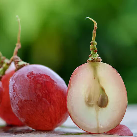 Green Red Grape Seeds 