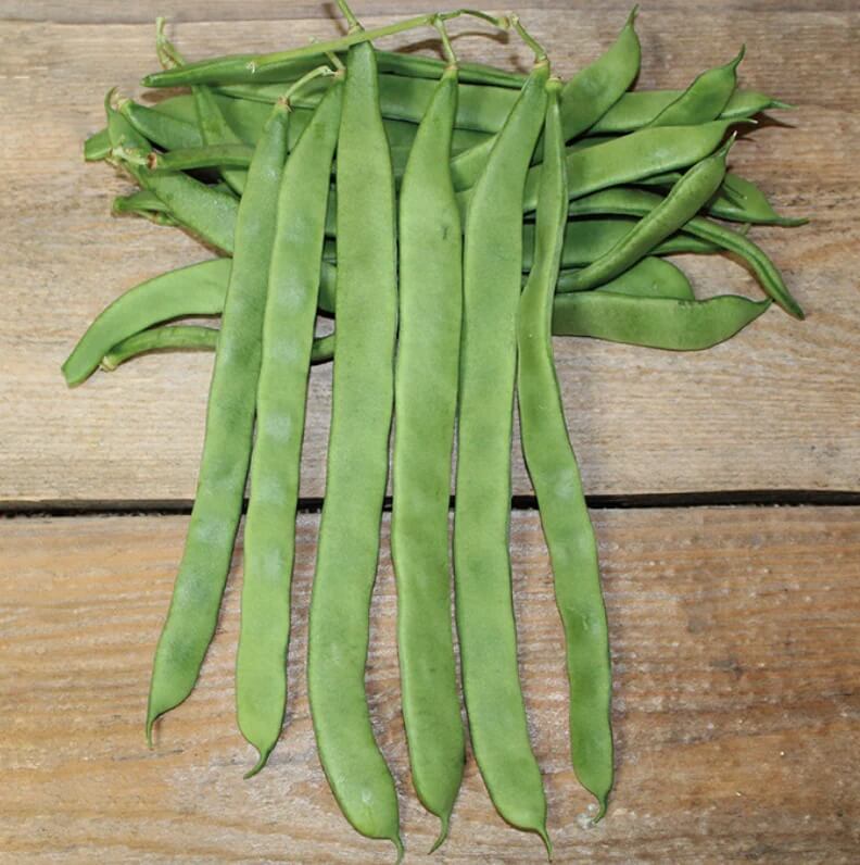 Green Romano Pole Bean Seeds