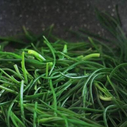 Green Seaweed Seeds