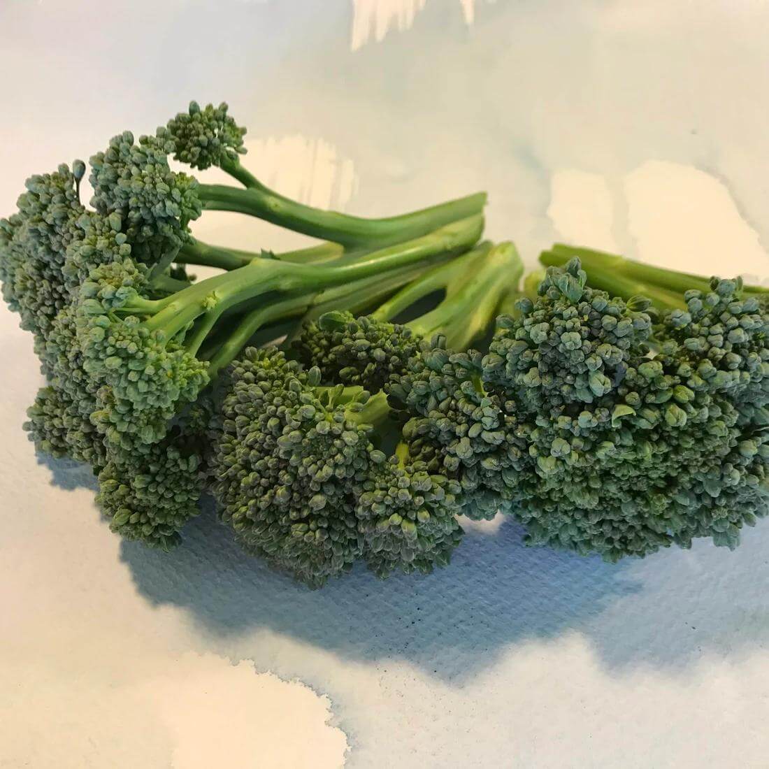 Green Sprouting Calabrese Broccoli Seeds 