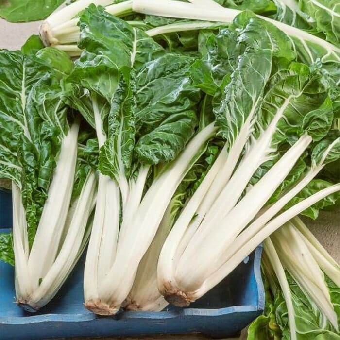 Green Stem Swiss Chard Seeds