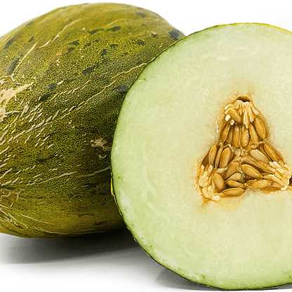 Green Toadskin Melon Seeds