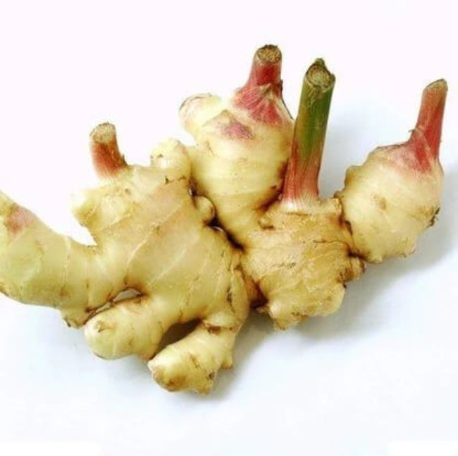 Green and White Ginger Seeds