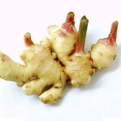 Green and White Ginger Seeds