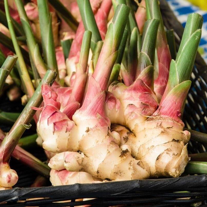 Green and White Ginger Seeds
