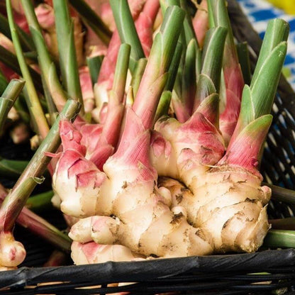 Green and White Ginger Seeds