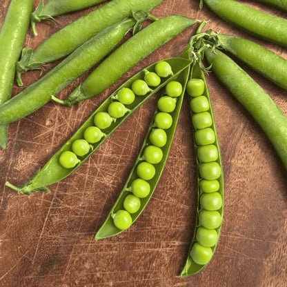 Green arrow pea seeds - Vegetable Plant