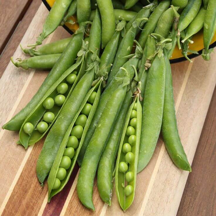 Green arrow pea seeds - Vegetable Plant