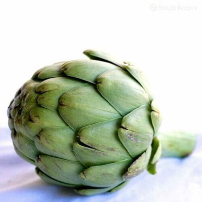 Green globe artichoke seeds - Vegetable Plant