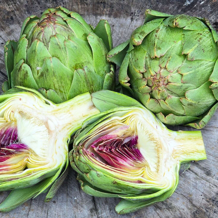 Green globe artichoke seeds - Vegetable Plant