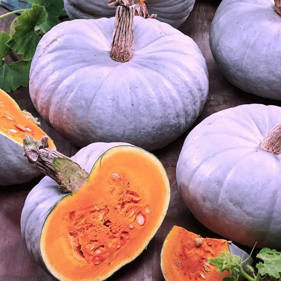 Grey Pumpkin Seeds