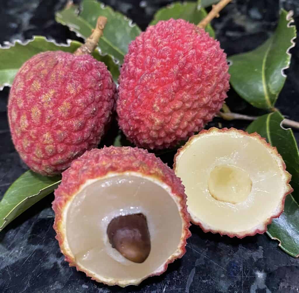 Hak Ip Lychee Seeds