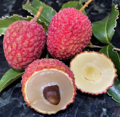 Hak Ip Lychee Seeds