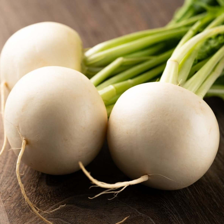 Hakurei turnip seeds - Vegetable Plant