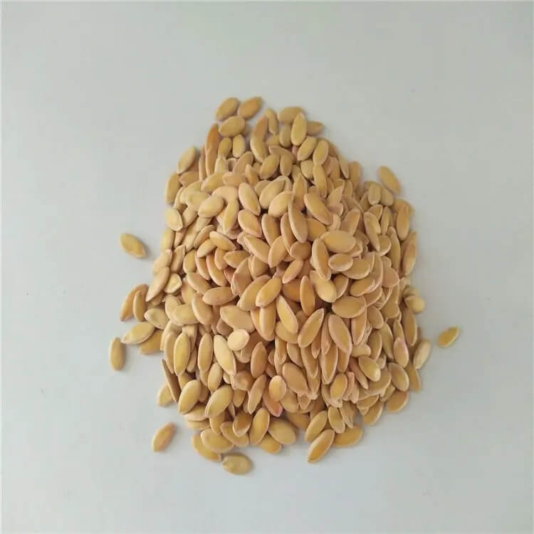 Hami Melon Seeds