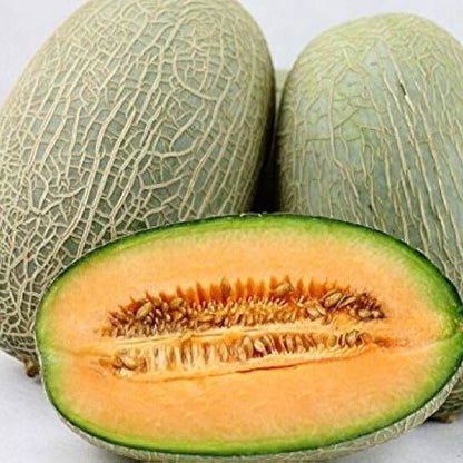 Hami Melon Seeds