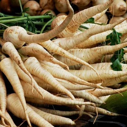 Harris Model Parsnip Seeds