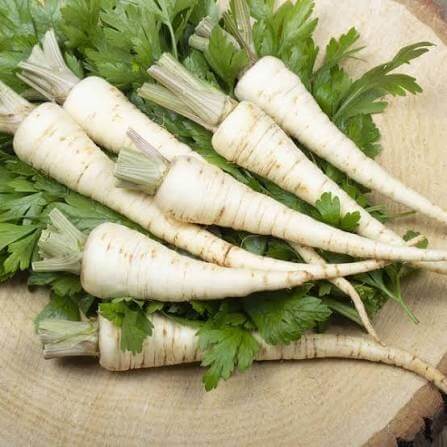 Harris Model Parsnip Seeds