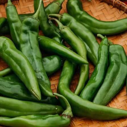 Hatch Pepper Seeds