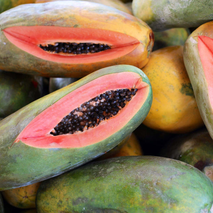 Hawaiian Rainbow Papaya Seeds 